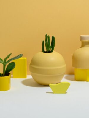 Lemon Set