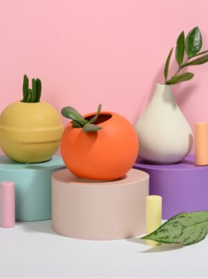 Bright Shapes Set
