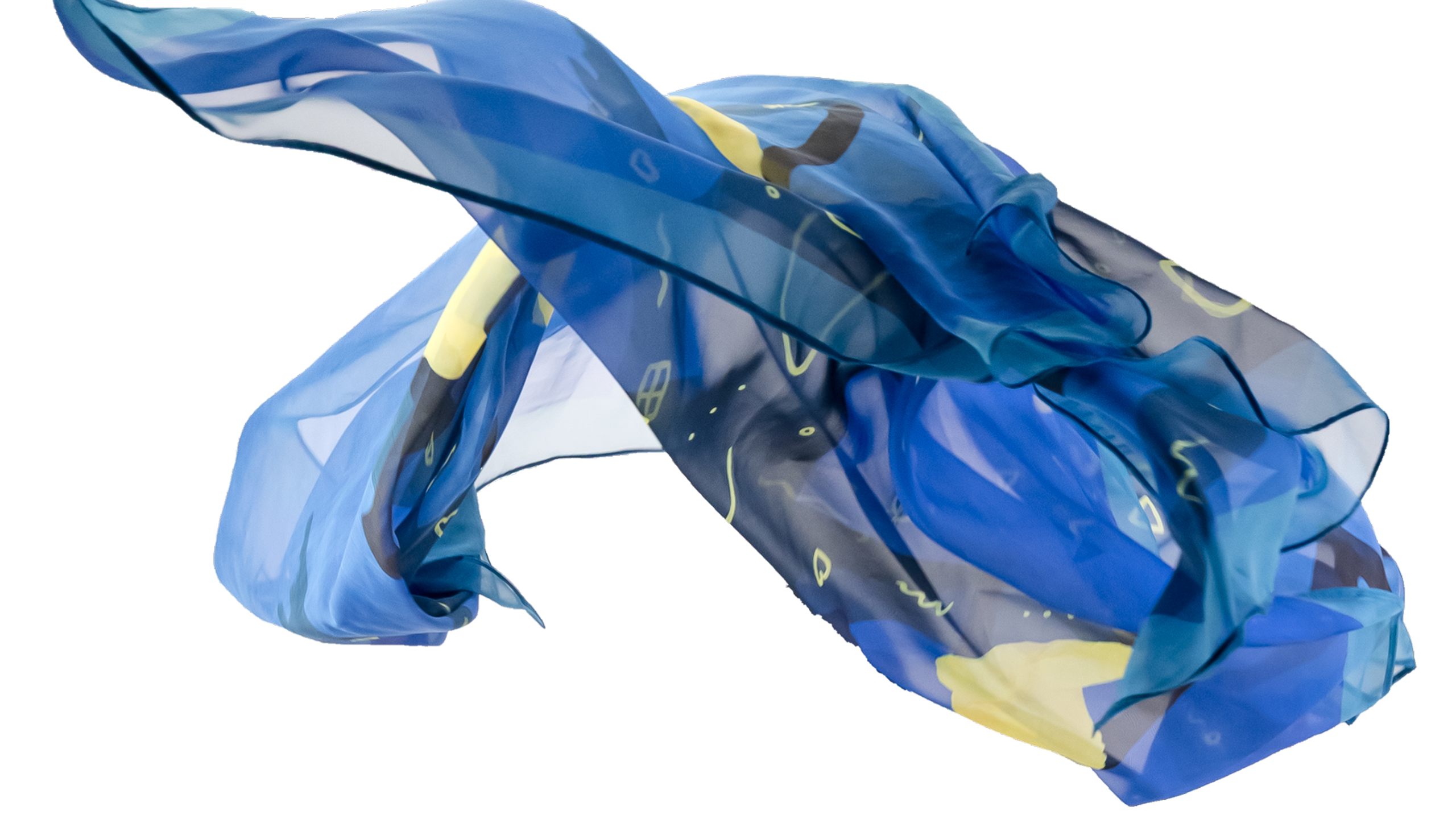 Gallery Naidoo Art Scarf